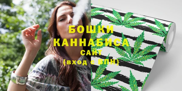 2c-b Богородск