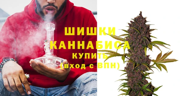 молекула духа Белокуриха
