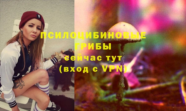каннабис Богородицк