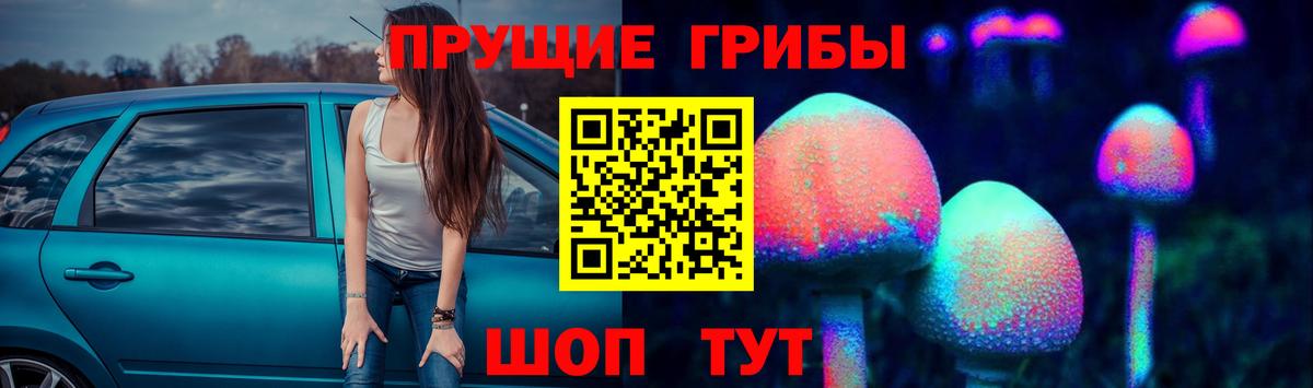 Вязьма  Псилоцибиновые грибы ЛСД  Вход с VPN 